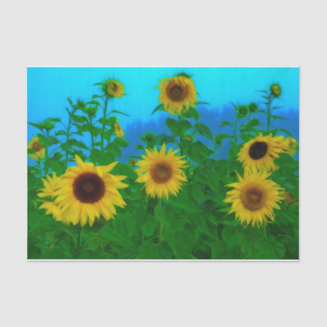 Sunflower Field Art Blue Sky Yellow Green Garden Tissue Paper (Front)