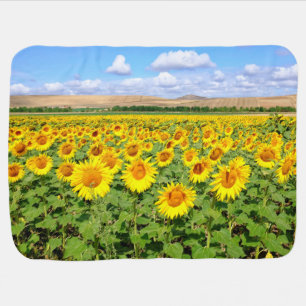 Sunflower field baby blanket