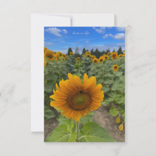 Sunflower Field & Bee Note Card