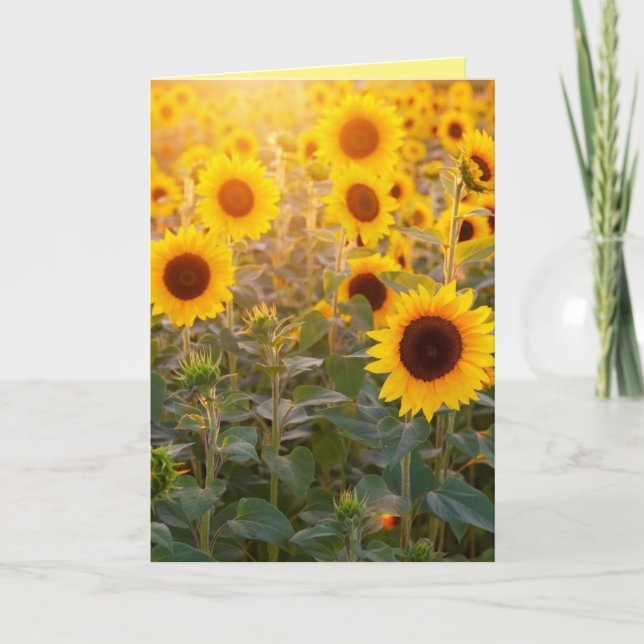 SUNFLOWER FIELD BIRTHDAY GREETING CARD (Front)