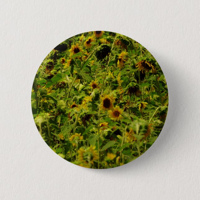 Sunflower field button (Front)