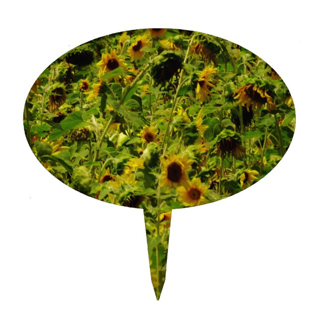 Sunflower field cake topper (Front)
