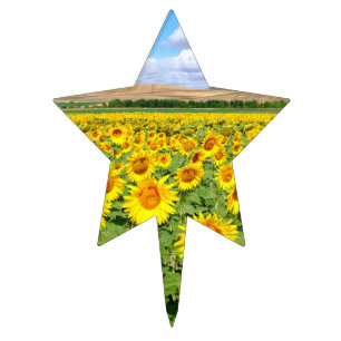 Sunflower field cake topper