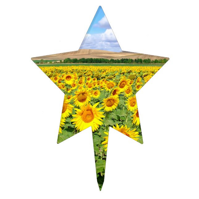 Sunflower field cake topper (Front)