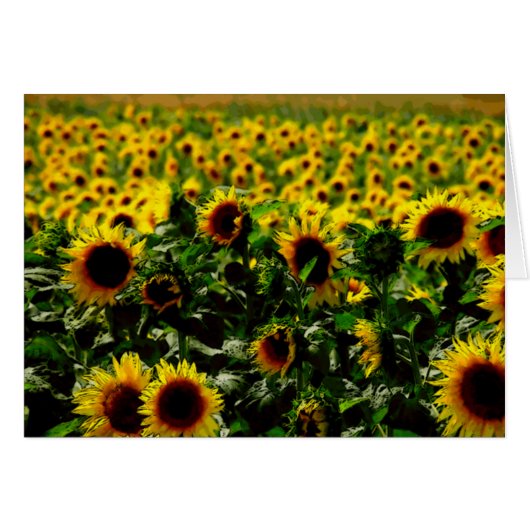 Sunflower field cards (Front Horizontal)
