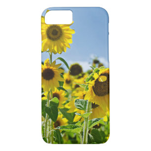 sunflower field iPhone 8/7 case