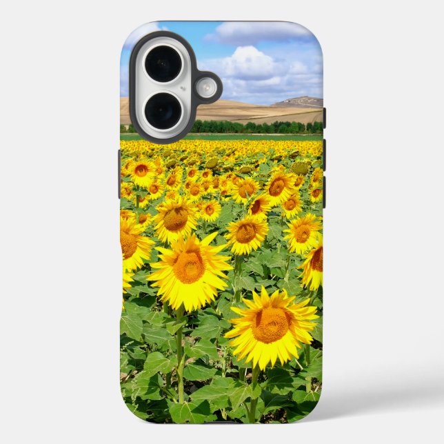 Sunflower field Case-Mate iPhone case (Back)