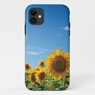 Sunflower field iPhone 11 case