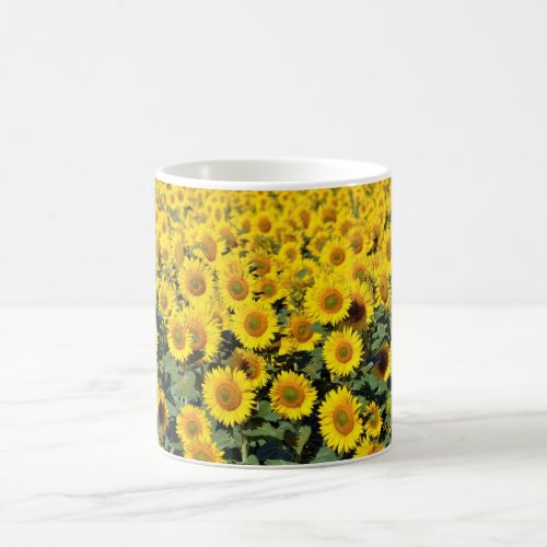 Sunflower field coffee mug