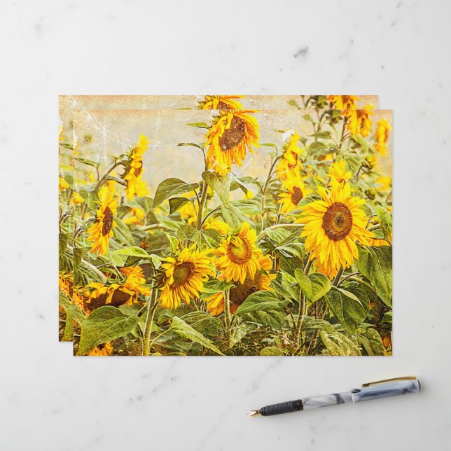 Sunflower Field Decoupage Yellow Vintage Antique (Front/Back In Situ)