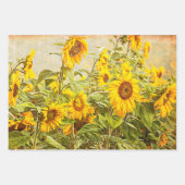 Sunflower Field Decoupage Yellow Vintage Antique Wrapping Paper Sheets (Front 3)