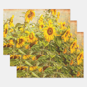 Sunflower Field Decoupage Yellow Vintage Antique Wrapping Paper Sheets