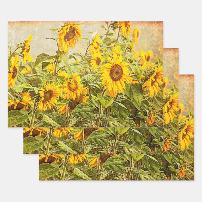 Sunflower Field Decoupage Yellow Vintage Antique Wrapping Paper Sheets (Set)