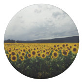 Sunflower Field Eraser (Front)