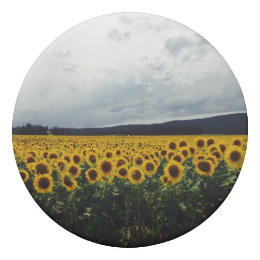 Sunflower Field Eraser (Front)