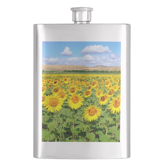 Sunflower field flask (Front)