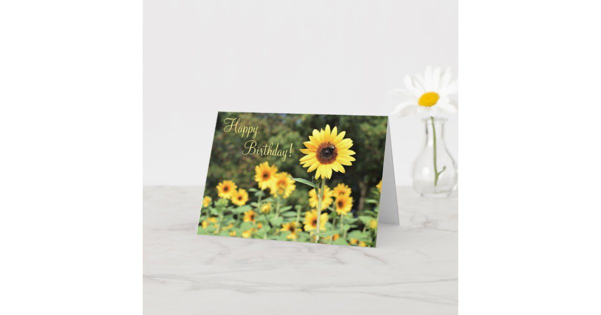 Sunflower Field Happy Birthday Greeting Card | Zazzle