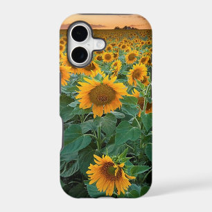 Sunflower Field in Longmont, Colorado iPhone 17 Case