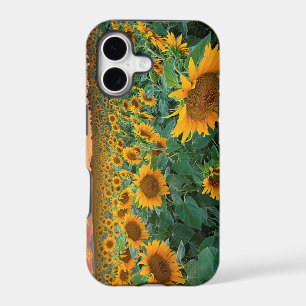 Sunflower Field in Longmont, Colorado iPhone 17 Case