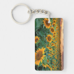 Sunflower Field in Longmont, Colorado Keychain