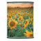Sunflower Field in Longmont, Colorado