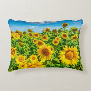 Sunflower field in summer sunny day. Picturesque l Accent Pillow