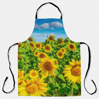 Sunflower field in summer sunny day. Picturesque l Apron