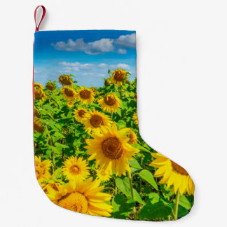 Sunflower field in summer sunny day. Picturesque l Small Christmas Stocking