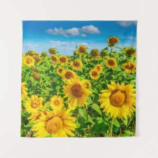 Sunflower field in summer sunny day. Picturesque l Tapestry