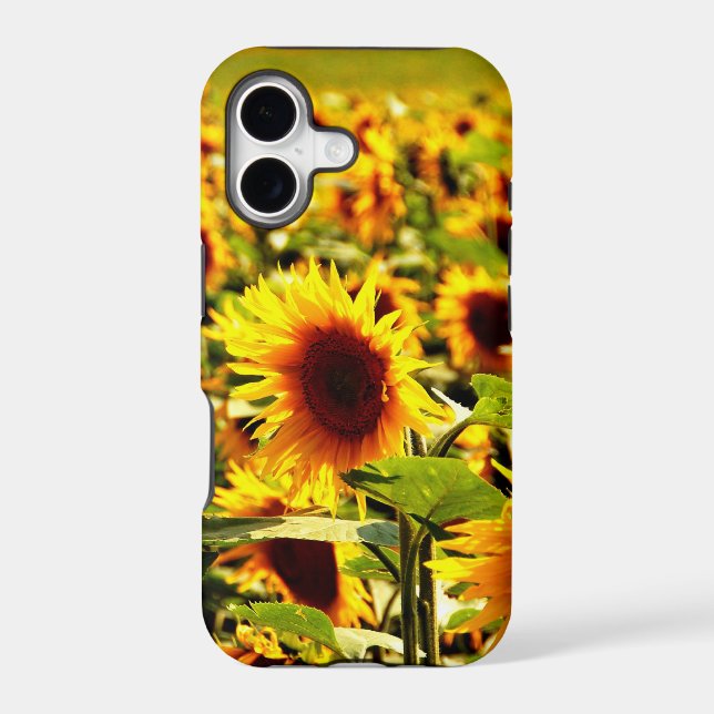 Sunflower field iphone case (Back)