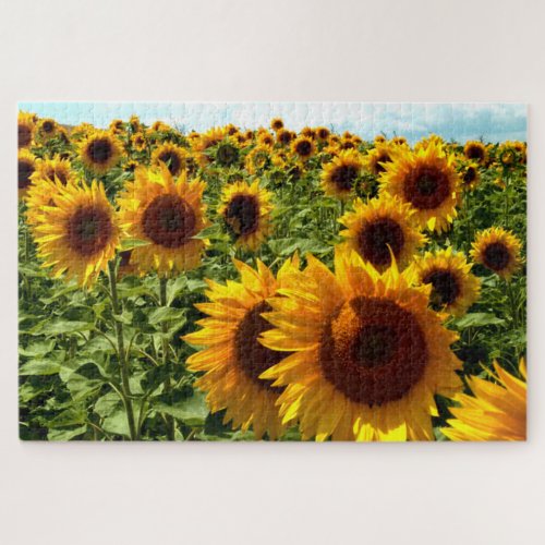 Sunflower Field Jigsaw Puzzle