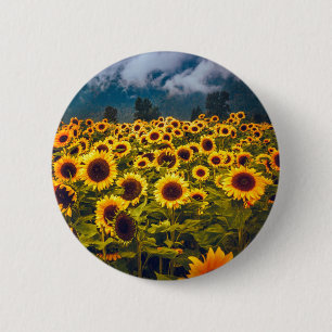 Sunflower Field Landscape Flowers Yellow Button