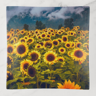 Sunflower Field Landscape Flowers Yellow Trinket Tray