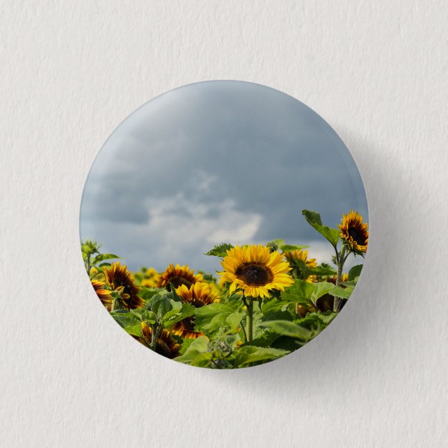 Sunflower Field Magnet Button (Front)