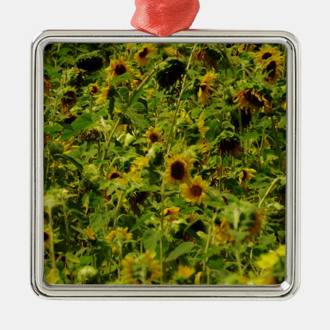 Sunflower field metal ornament (Front)