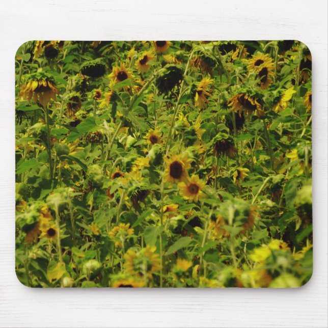 Sunflower field mouse pad (Front)