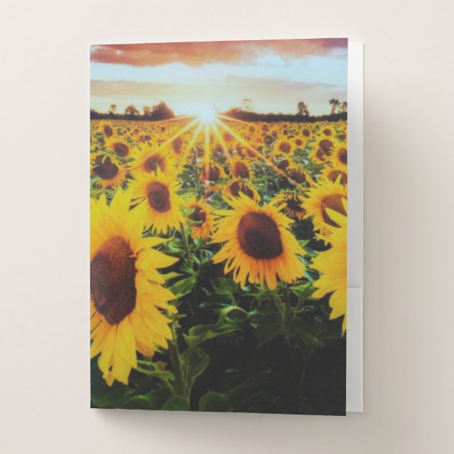 Sunflower field pocket folder (Front)