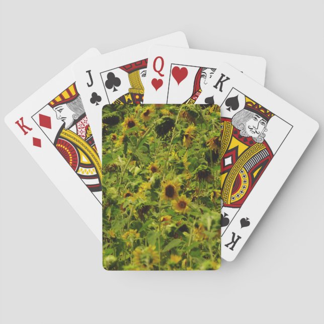 Sunflower field poker cards (Back)