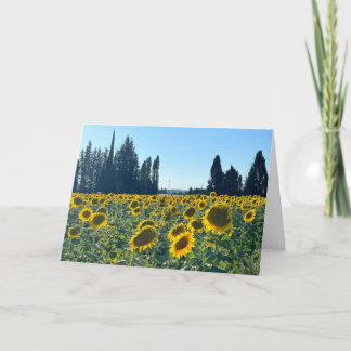 Sunflower Field, Provence, France - Card