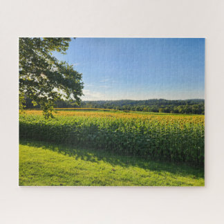 Sunflower Field Puzzle