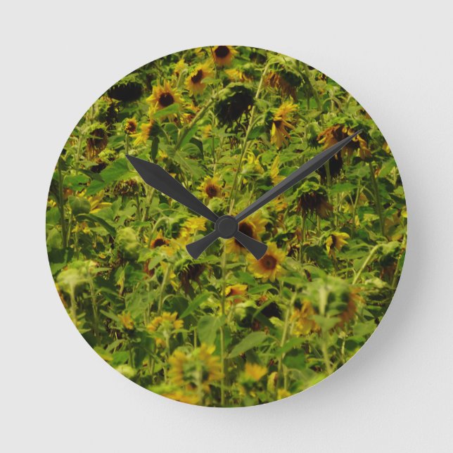 Sunflower field round clock (Front)