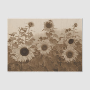 Sunflower Field Sepia Vintage Art Tissue Paper