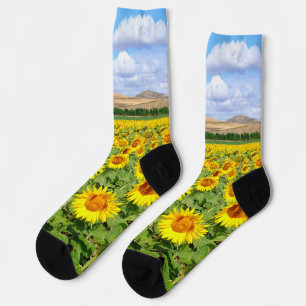 Sunflower field socks