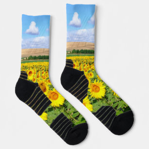 Sunflower field socks