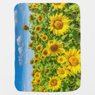 Sunflower field, summer sunny day. baby blanket