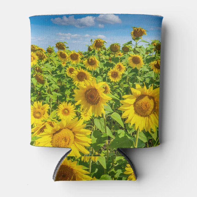 Sunflower field, summer sunny day. can cooler (Front)