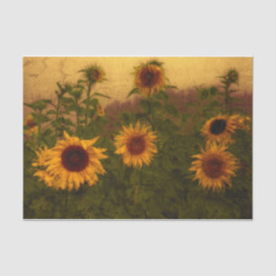Sunflower Field Texture Yellow Green Vintage Art Tissue Paper