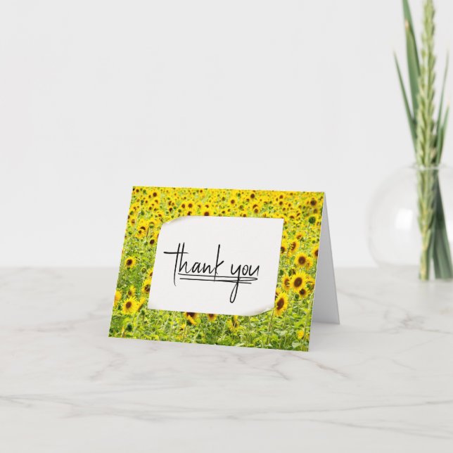 Sunflower Field Thank You  Card (Front)