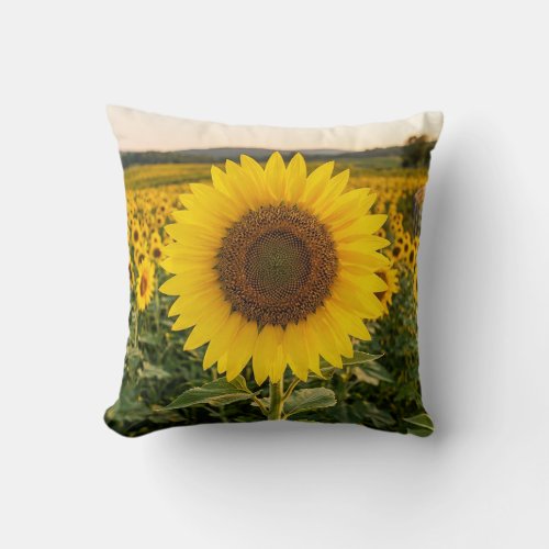 Sunflower Field Throw Pillow