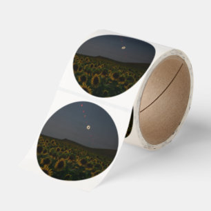 Sunflower Field Total Solar Eclipse Time-Lapse Art Classic Round Sticker
